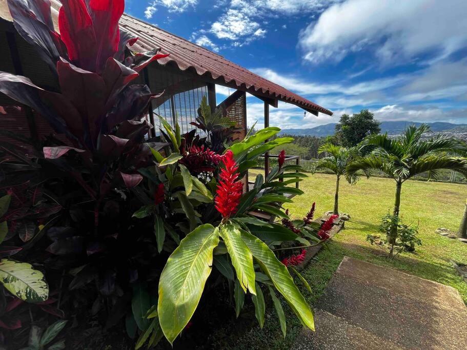 Chalet Zen Bella Vista San Juan  Luaran gambar